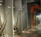 Muzeum archeologiczne w Krakowie - gabloty
