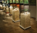 Muzeum archeologiczne w Krakowie - gabloty